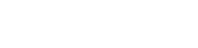Arie Kaduri
CEO