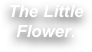 The Little Flower.